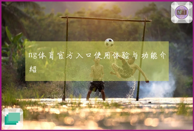 ng体育官方入口使用体验与功能介绍