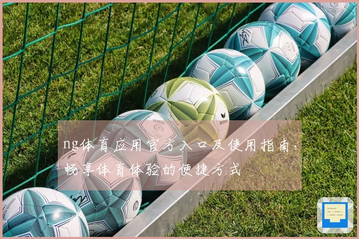 ng体育应用官方入口及使用指南，畅享体育体验的便捷方式