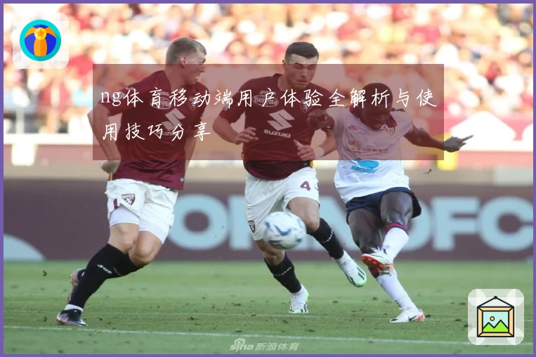 ng体育移动端用户体验全解析与使用技巧分享