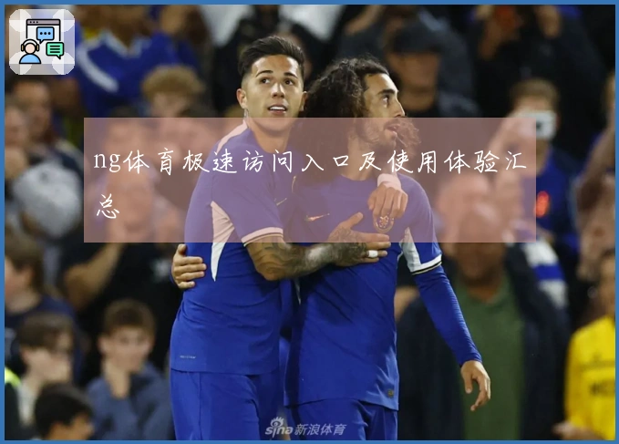 ng体育极速访问入口及使用体验汇总