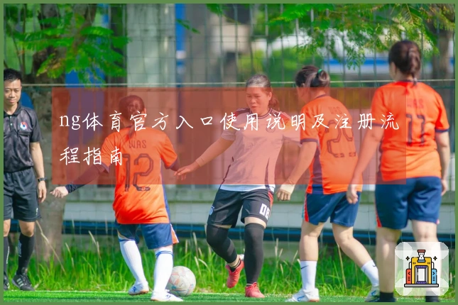 ng体育官方入口使用说明及注册流程指南