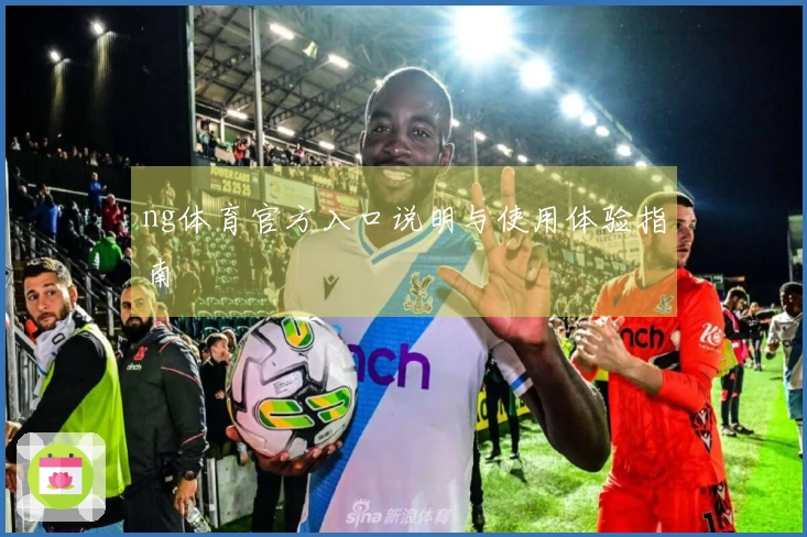 ng体育官方入口说明与使用体验指南