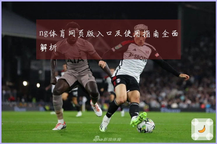 ng体育网页版入口及使用指南全面解析