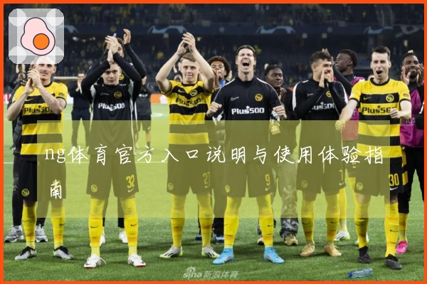 ng体育官方入口说明与使用体验指南