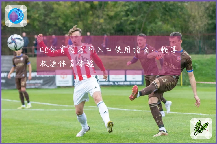 ng体育官方网入口使用指南，畅享极速体育体验