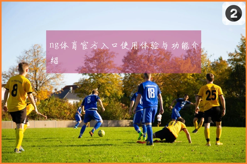 ng体育官方入口使用体验与功能介绍